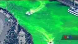 У Чикаго у День святого Патрика зеленою стає навіть місцева річка. Відео
