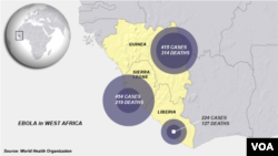 Ebola cases in Guinea, Sierra Leone and Liberia as of July 24, 2014.
