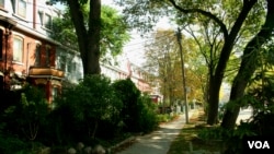 Trees on a residential street in downtown Toronto make the neighborhood a healthier place to live. (© 2007 Torie Gervais/LEAF)