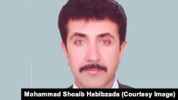 محمد شعیب حبیب زاده