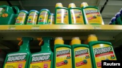 FILE - Monsanto's Roundup weed killer atomizers are displayed for sale at a garden shop near Brussels, Nov. 27, 2017. 