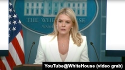 کارولین لویت، سخنگوی کاخ سفید