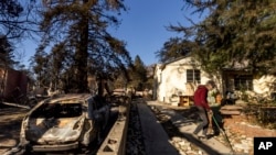 Seorang warga membersihkan area masuk menuju rumahnya yang selamat dari kebakaran Eaton di Altadena, California, pada 12 Januari 2025. (Foto: AP/Ethan Swope)