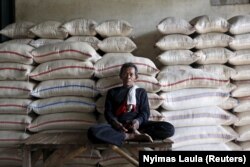 Seorang porter beristirahat di samping karung beras di pasar grosir beras di Jakarta Timur, 20 Mei 2015. (Foto: REUTERS/Nyimas Laula)