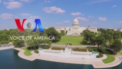 Uzbek senator: Cotton is a blessing and a curse