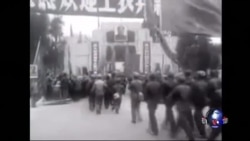 焦点对话：文革专题之二：文革受害者，中国的“犹太人群体”？