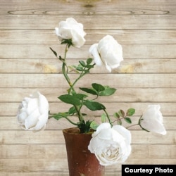 Квітка з порцеляни, подарована Меланією Трамп Акі Абе. Автор - Володимир Каневський