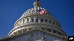 FILE - The U.S. Capitol Building is seen Nov. 19, 2011. 