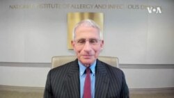 Dr. Fauci interview
