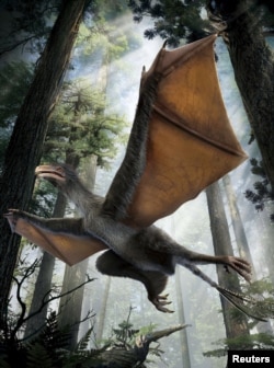 An artist's depiction of the Yi qi dinosaur is seen in this undated handout illustration provided by Dinostar Co. Ltd, April 29, 2015.