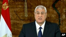 In this image made from video broadcast on Egyptian State Television, Egypt's interim President Adly Mansour speaks at the presidential palace in Cairo, Egypt, Sunday, Jan. 26, 2014. 