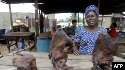 Nigeria Bushmeat