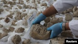 FILE - Conservators work on pieces of statues damaged by the Taliban, in National Museum of Afghanistan in Kabul, Afghanistan October 13, 2019. picture taken October 13, 2019.REUTERS/Omar Sobhani