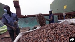 Workers gather bags of cocoa at the port of Abidjan, 17 Jan 2011