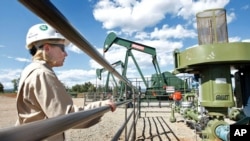 FILE - A BP Florida operations manager looks over a methane gas well site east of Bayfield, Colorado, Aug. 26, 2009.
