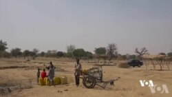 Dabi'ar Sare Itatuwa Na Haddasa Masifar Zaizayar Kasa Da Kwarrowar Hamada