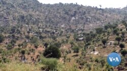 Cameroonian Girls on Nigeria Border Married Off to Escape Boko Haram