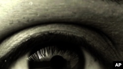 Your biological makeup could soon be the key to safeguarding your online identity, making the need for computer passwords obsolete.