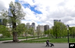 In this May 3, 2017 photo, a couple walks with a child in the Boston Common, a park surrounded by buildings in downtown Boston.