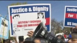 Доля мільйонів нелегальних імігрантів у США стане відомою у червні. Відео