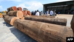 Les gens visitent la Société Nationale des Bois du Gabon (SNBG) à Owendo, port de Libreville le 11 octobre 2012. 