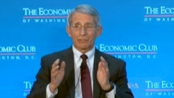 Dr. Fauci on the Zika virus