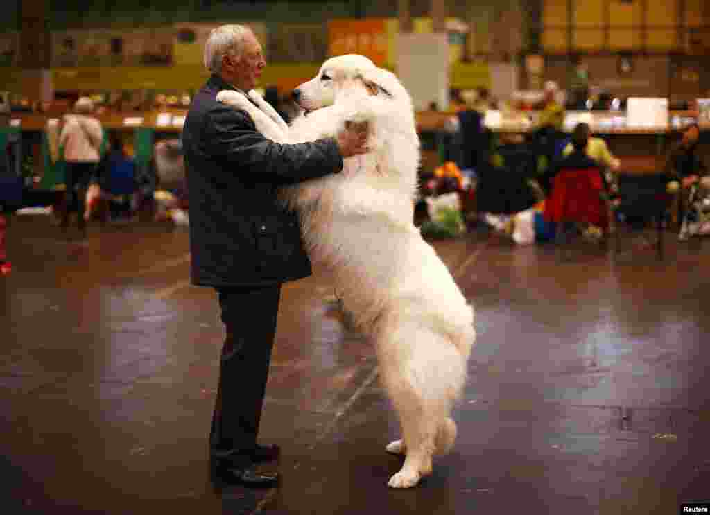 Arthur Ward stands with his Pyrenean Mountain Dog Cody during the first day of the Crufts Dog Show in Birmingham, central England, March 5, 2015.