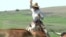 Be a Cowboy on an American Longhorn Ranch