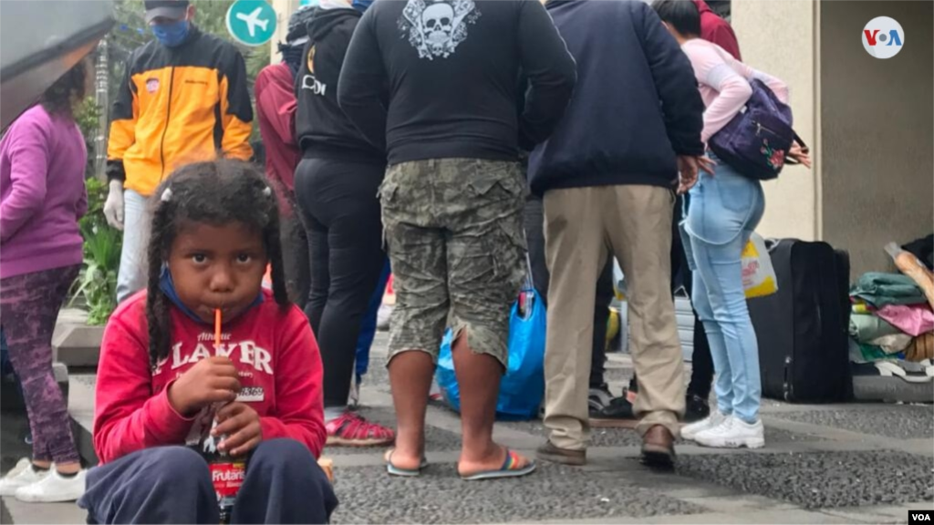 En el grupo, varios indicaron que caminaron desde el interior de Ecuador hacia la capital, pero también desde Lima, Perú.