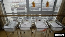 资料照：上海一家医院的新生儿 （2006年7月10日）