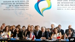Chile's Foreign Minister Heraldo Munoz speak during the Trans-Pacific meeting in Vina del Mar, Chile, March 15, 2017.