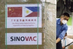 FILE - A worker unloads a box of Sinovac Biotech's CoronaVac vaccines from a Chinese military aircraft at Villamor Air Base in Pasay, Metro Manila, Philippines, Feb. 28, 2021.