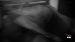 مستند: «بدن زن، میدان نبرد»