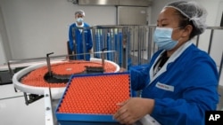 FILE - A worker feeds vials for production of SARS CoV-2 Vaccine for COVID-19 at the SinoVac vaccine factory in Beijing. 