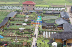 Desa Pujon Kidul, Kecamatan Pujon, Kabupaten Malang, Jawa Timur sukses memanfaatkan Dana Desa untuk pengembangan pariwisata. (Foto: Courtesy/Kemendes PDTT)