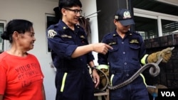 Khun Pinyo explaining to a resident about the Banded Rat Snake (non-venomous) captured inside her compound, Feb. 28, 2016. (Z. Aung/VOA)