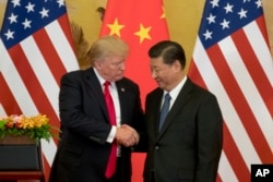 美国总统特朗普和中国国家主席习近平2017年11月9日在北京人大会堂握手。