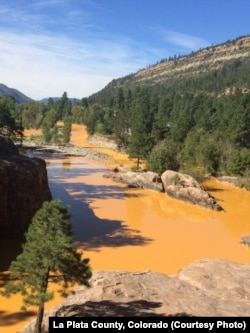 Mustard-colored wastewater laced with heavy metals is seen in the Animas River in La Plata County, Colorado.