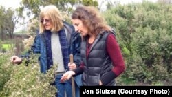 Margaret Smither-Kopperl (left) and Jessa Kay Cruz examine a coyote shrub brush in a hedgerow at Lockeford Plant Materials Center in Pleasanton, Calif