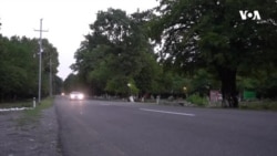 Təbiətsevərlər heyvanları istismar edən restoranları boykot edir