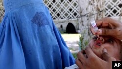 در سال روان میلادی ۲۲ واقعۀ مثبت پولیو در افغانستان ثبت شده است