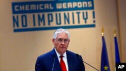 Рекс Тіллерсон на конференції в Парижі