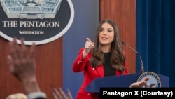 د پنټاګون ویانده کینګزلي ویلسن