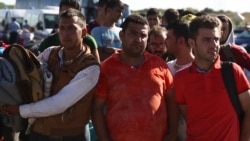 Croatian Town’s War History Evokes Empathy for Migrants