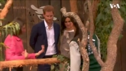 Принц Гаррі з вагітною дружиною Меган подружилися із коалою у новому зоопарку в Сіднеї. Відео