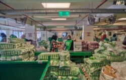 Workers fill food packs to be distributed to low-income families at the Egyptian Food Bank, April 19, 2020. (Hamada Elrasam/VOA)