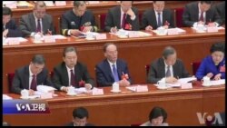 焦点对话：习近平迈向终身制，王岐山成两会大赢家?
