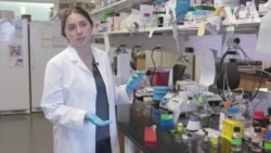 Українські науковці у США випробовують революційний метод лікування раку. Відео