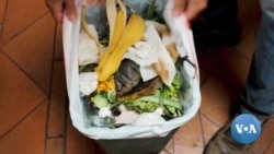 Arlington, Virginia, Starts Its First Scrap Food Collection Service