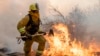 California Hopes Winds Driving Wildfires Subside as Crews Work on Containment